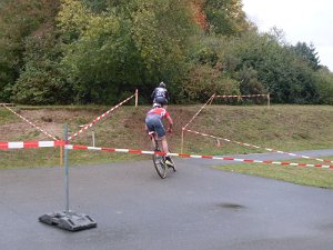 Dassow Cross-Cup 313